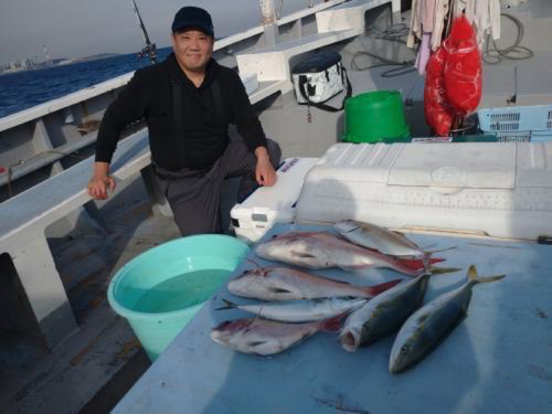 マダイの釣果