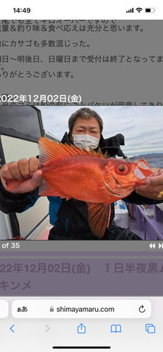 チカメキントキの釣果