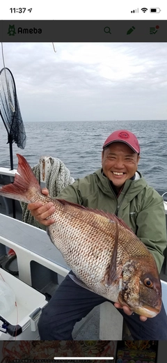 マダイの釣果