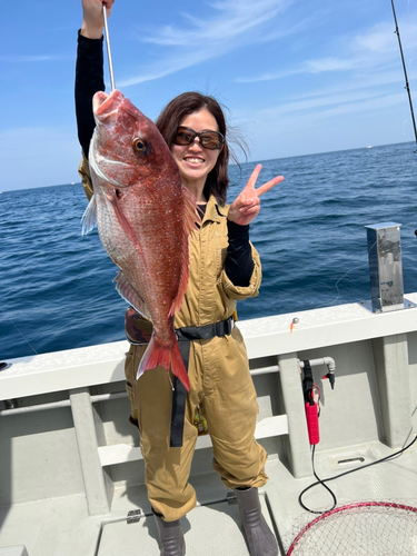 マダイの釣果