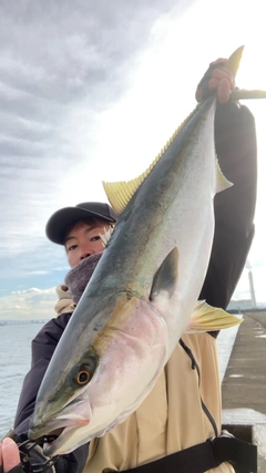 ブリの釣果