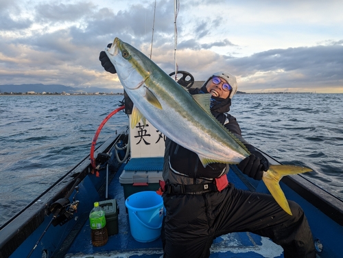 ブリの釣果