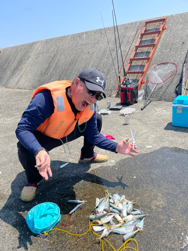 サバの釣果