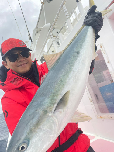 ブリの釣果