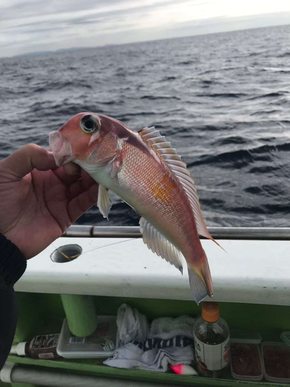 きンちゃンさんの釣果 3枚目の画像