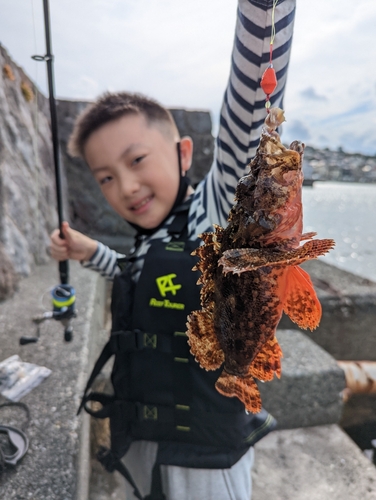 オニカサゴの釣果