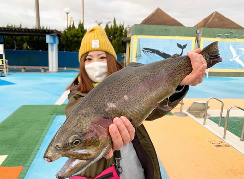 ニジマスの釣果