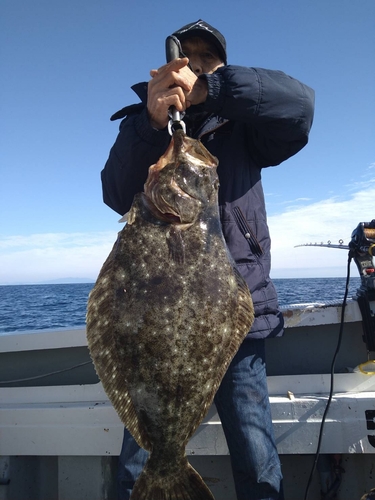 ヒラメの釣果