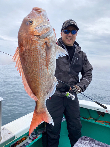 マダイの釣果