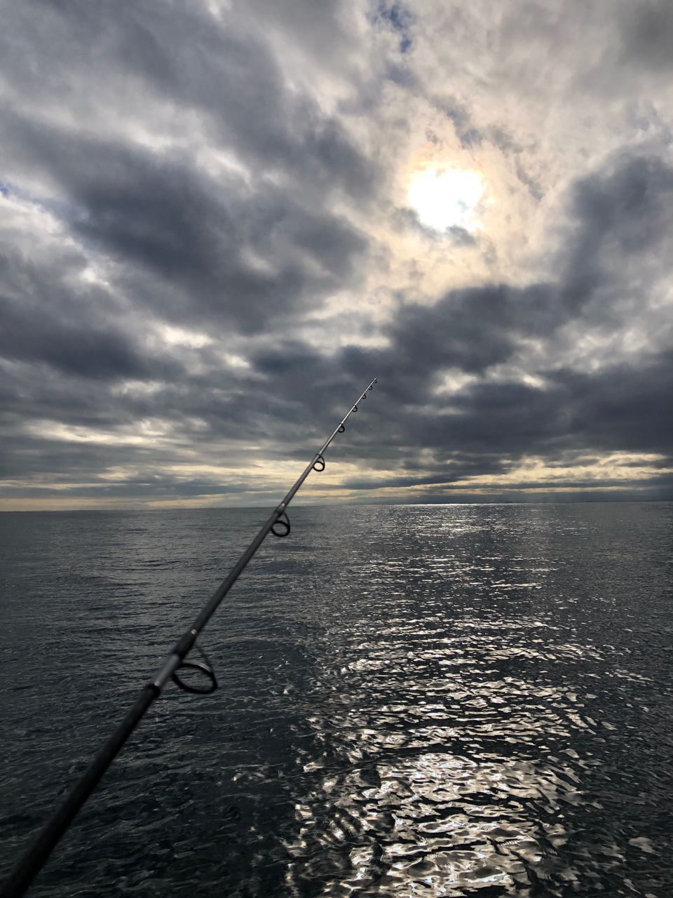 わたるスペシャルさんの釣果 3枚目の画像