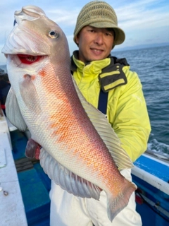 シロアマダイの釣果