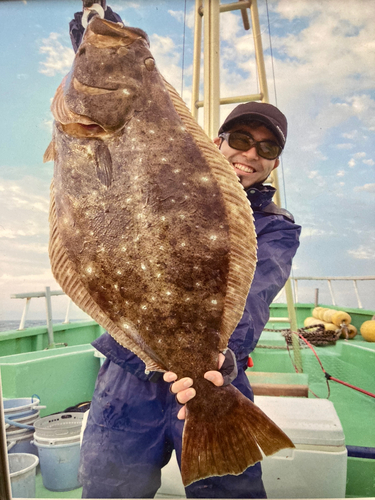 ヒラメの釣果