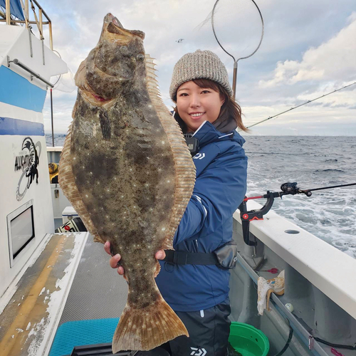 ヒラメの釣果