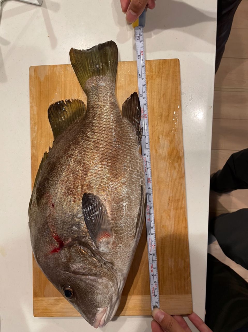 アングラー14218165さんの釣果 3枚目の画像