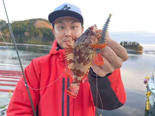 ヨロイメバルの釣果