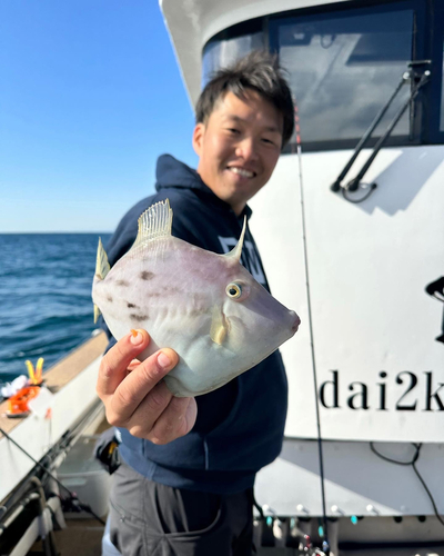 カワハギの釣果