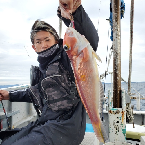 アマダイの釣果