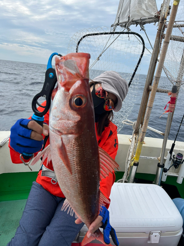 アカチビキの釣果