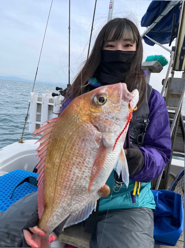 マダイの釣果