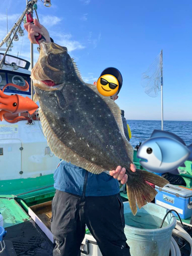 ヒラメの釣果