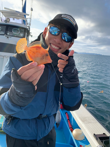 カワハギの釣果