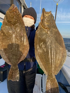 ヒラメの釣果