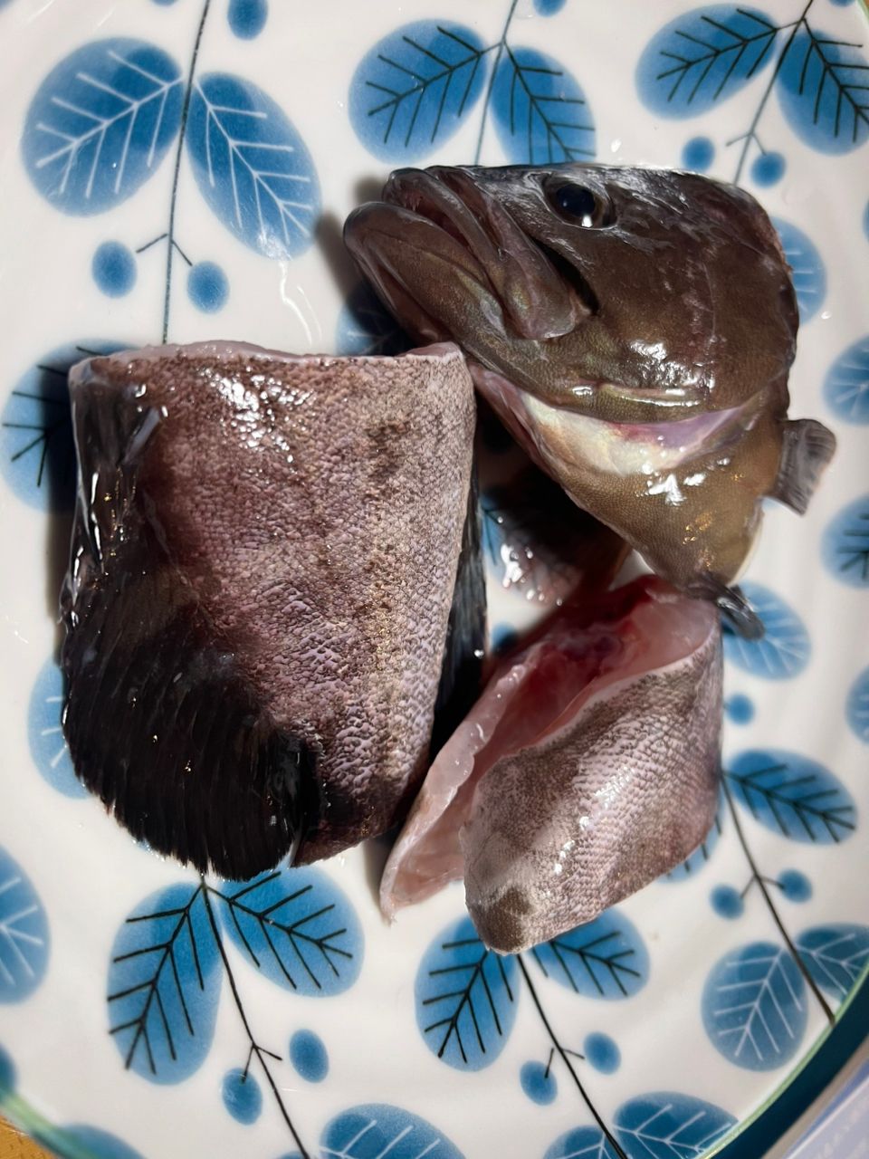 さすらいのボウさんの釣果 1枚目の画像