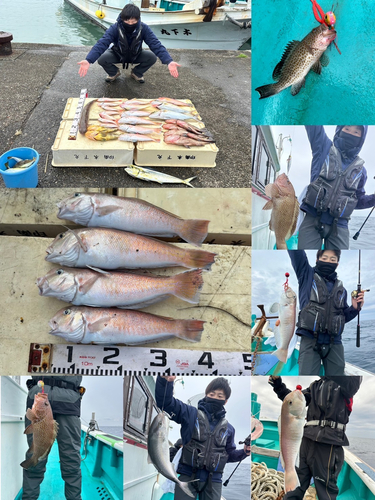 シロアマダイの釣果