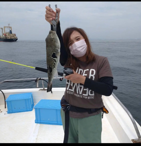 トラフグの釣果