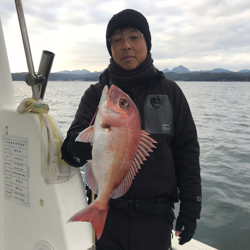 マダイの釣果