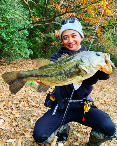 ブラックバスの釣果