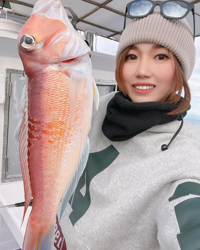 アマダイの釣果