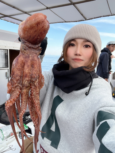 タコの釣果