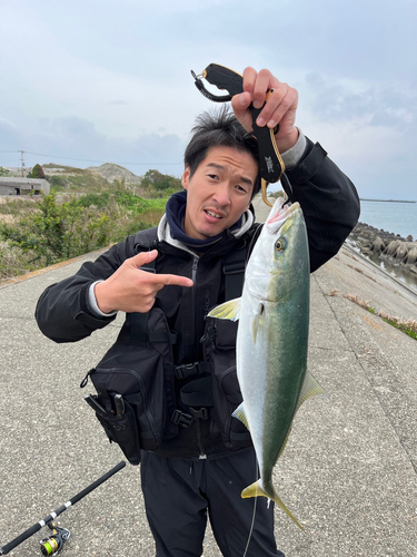 メジロの釣果