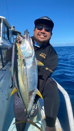 キハダマグロの釣果