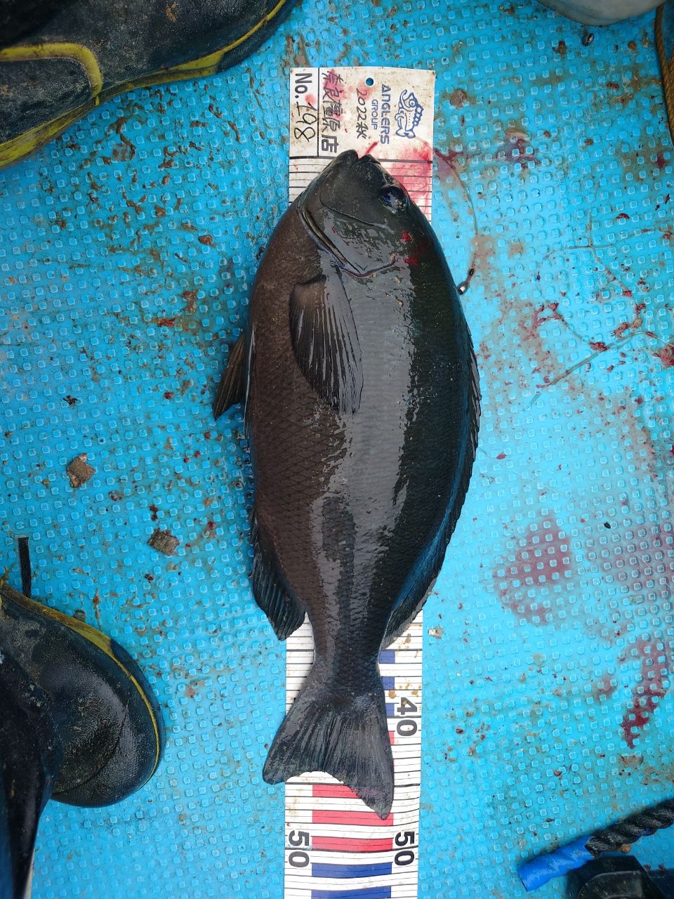 短竿大型五目 一木。さんの釣果 2枚目の画像