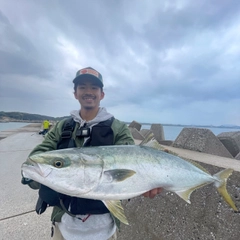 ブリの釣果