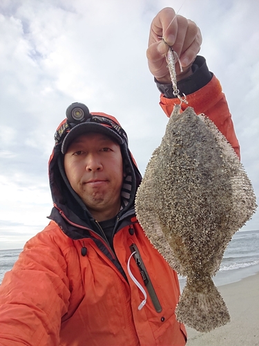 ソゲの釣果