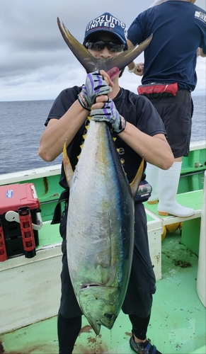 キハダマグロの釣果