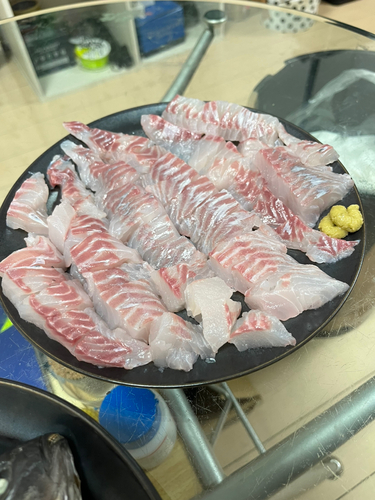 釣果