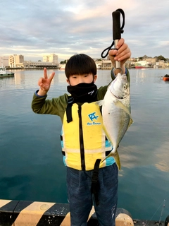 シマアジの釣果