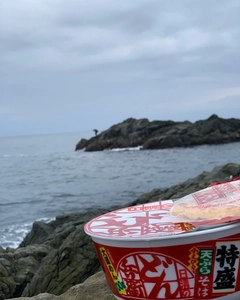 グレの釣果