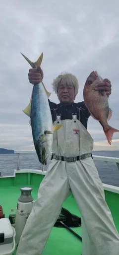 イサキの釣果