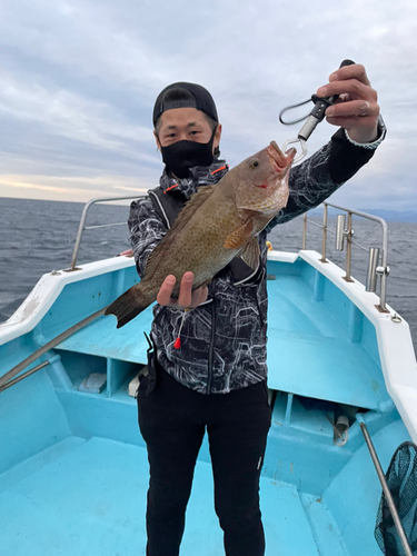 オオモンハタの釣果