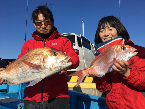 マダイの釣果