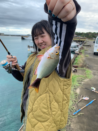 フエダイの釣果