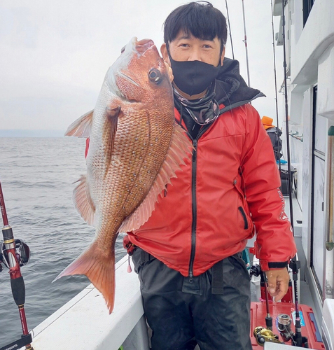 マダイの釣果