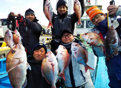 マダイの釣果