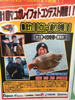 マコガレイの釣果
