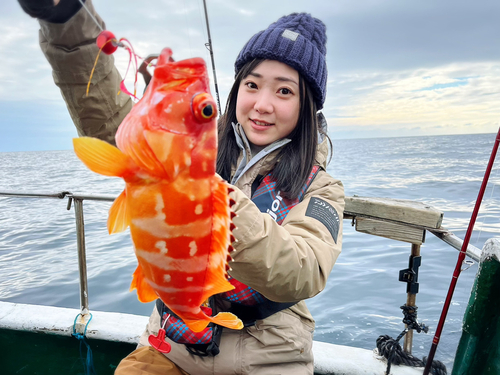 アカハタの釣果